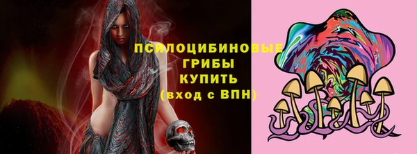 тгк Нестеровская