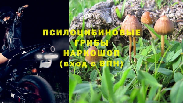 MESCALINE Коряжма