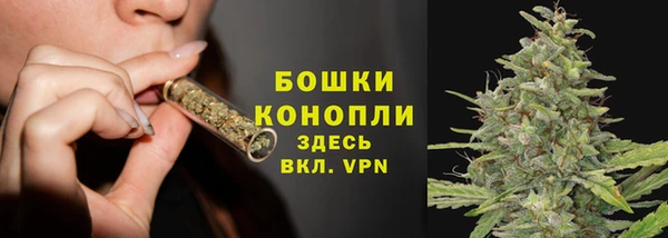 эйфоретик Фёдоровский