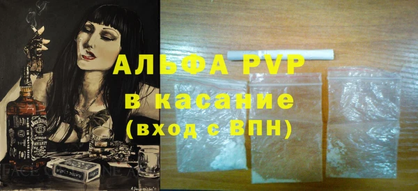 стаф Козловка
